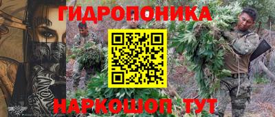 метадон Кингисепп